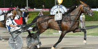 Francavilla d’Ete alza la voce: con Dolce Viky il Palio diventa una sfida di cuore